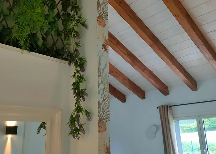 La Flor De Agua Feriehus Torelló
